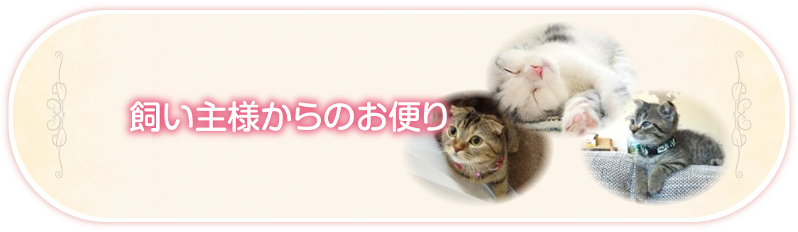 飼い主様からのお便り