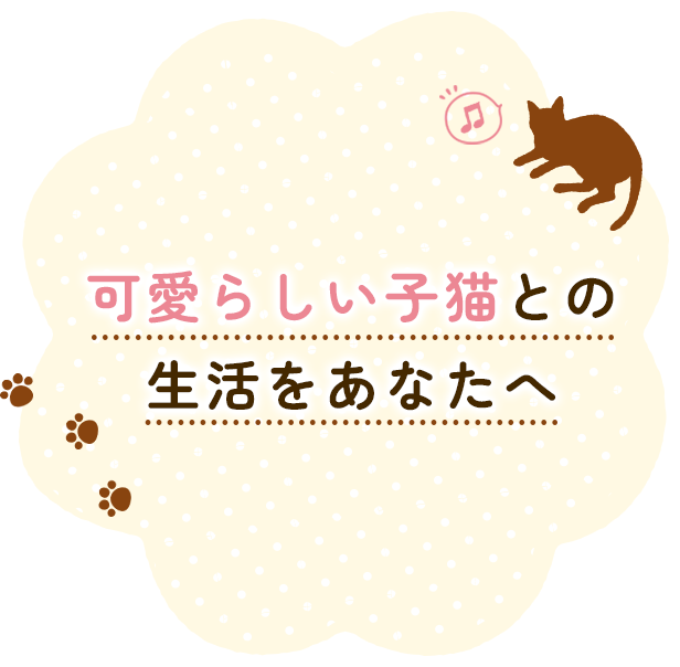 可愛らしい子猫との生活をあなたへ