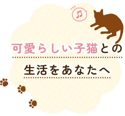 可愛らしい子猫との生活をあなたへ