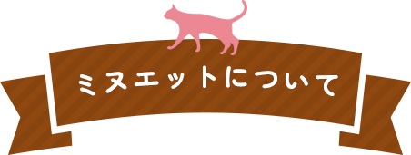 ミヌエットについて